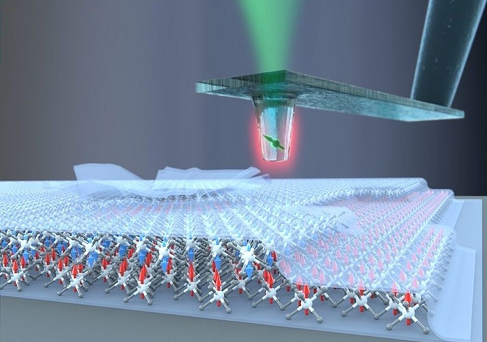 Nanoscale quantum sensing with single spins in diamond