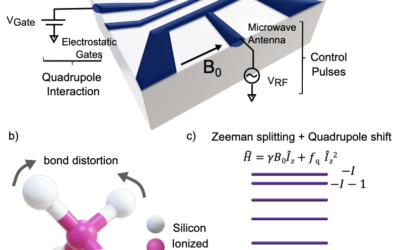 Kittens, cats and compasses: superposing coherent states for quantum sensing, quantum communication, quantum computing and quantum fun