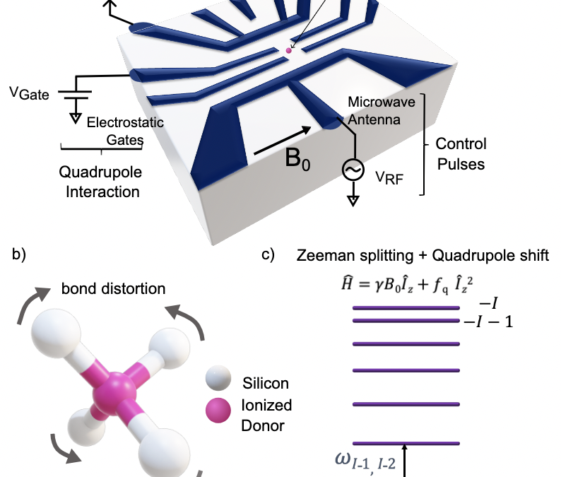 Kittens, cats and compasses: superposing coherent states for quantum sensing, quantum communication, quantum computing and quantum fun